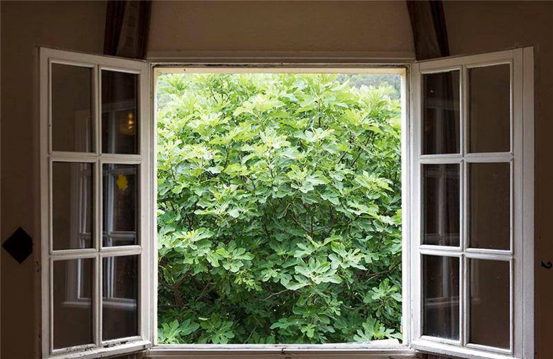 整木定制裝修完如何去除甲醛味道?(圖1) 整木定制裝修完如何去除甲醛味道?(圖1)