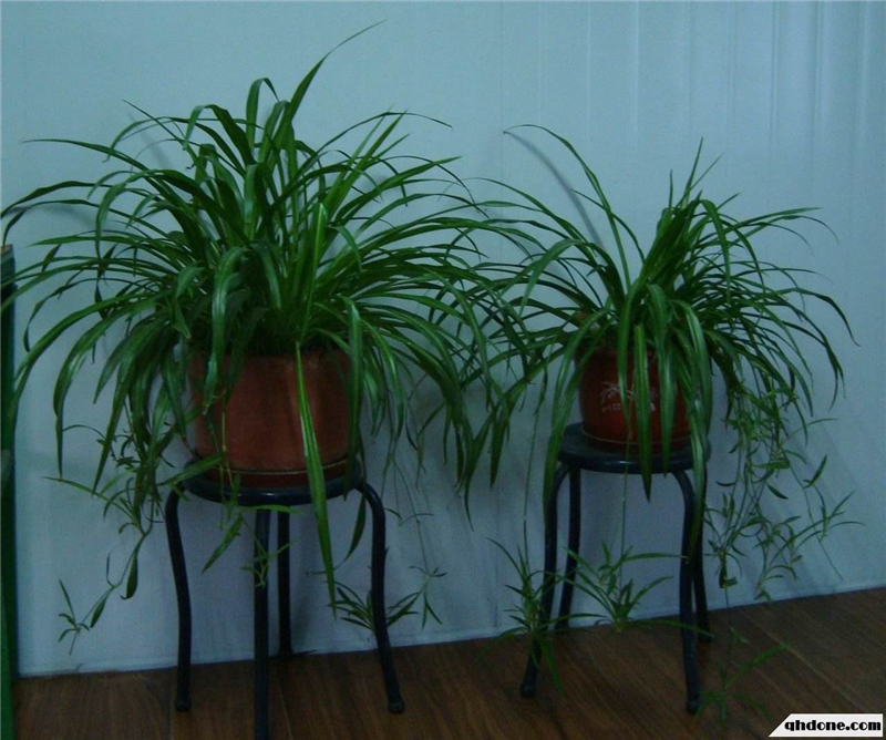 整木定制裝修完如何去除甲醛味道?(圖2) 整木定制裝修完如何去除甲醛味道?(圖2)